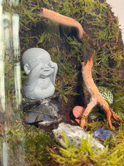 Handcrafted Buddha terrarium in Dubai by Lilli Plants