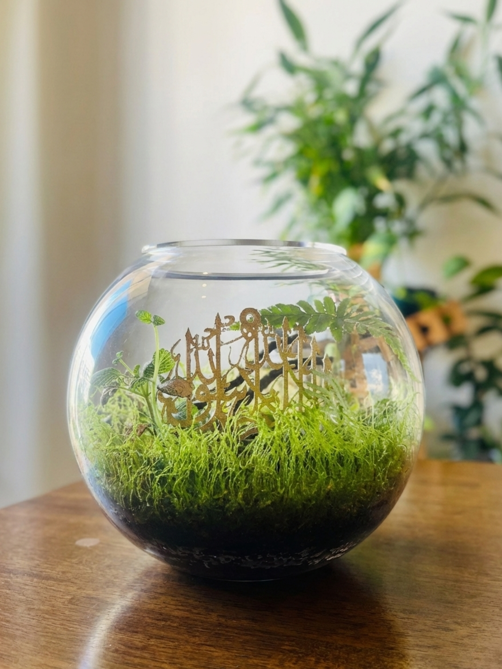 Custom Islamic terrarium gift with plants and Shahada centerpiece by Lilli Plants