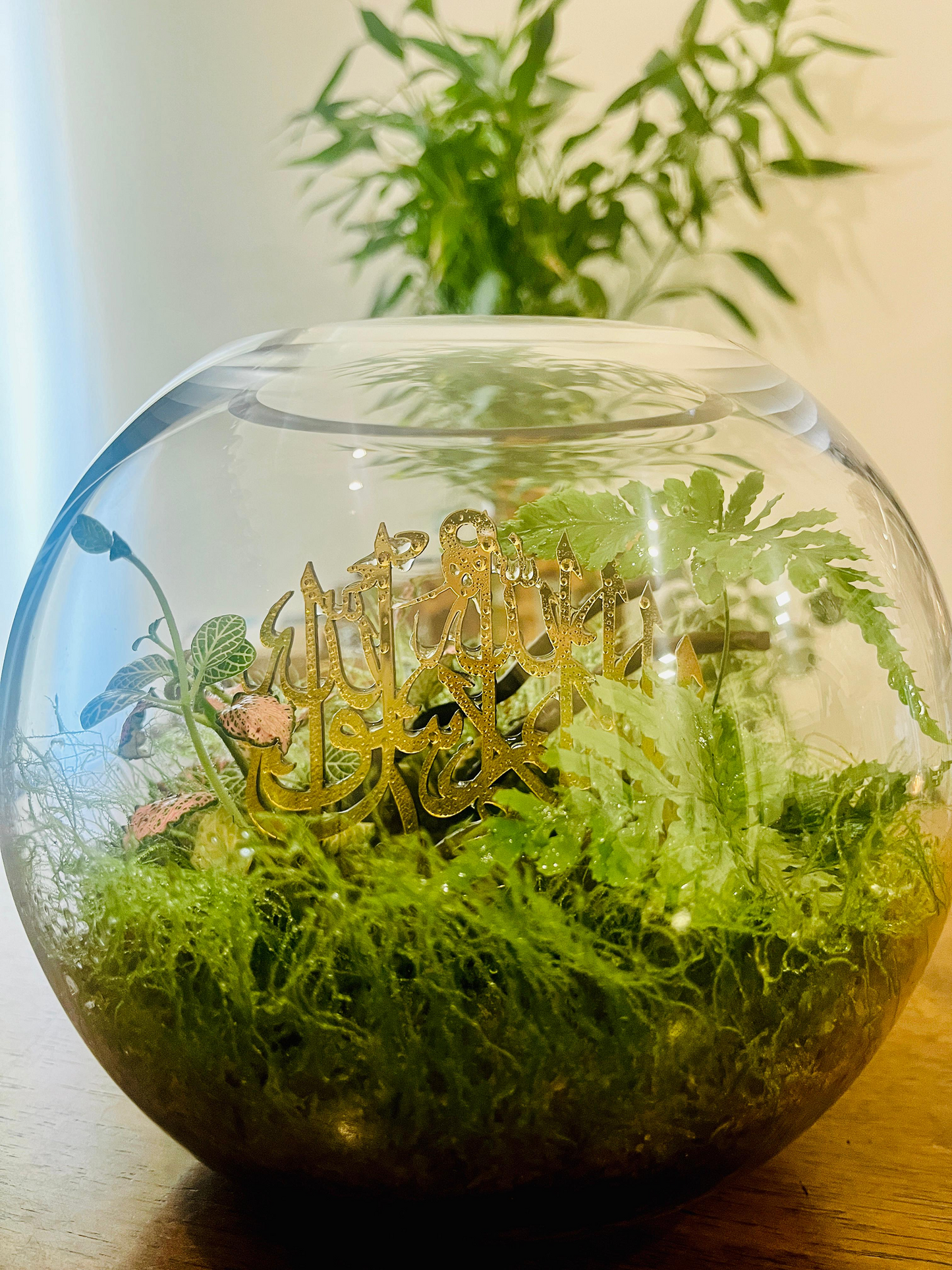 Elegant First Kalima Muslim plant décor terrarium for Eid and Ramadan in Dubai