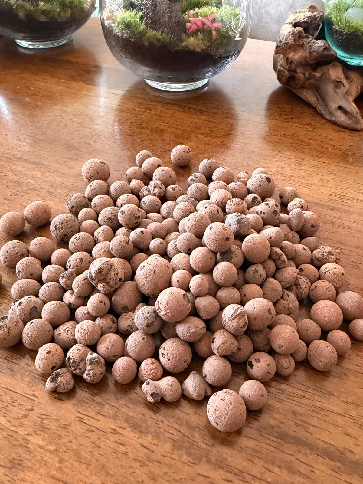 Lightweight LECA clay growing media for hydroponics, indoor plant drainage, and terrariums by Lilli Plants UAE.
