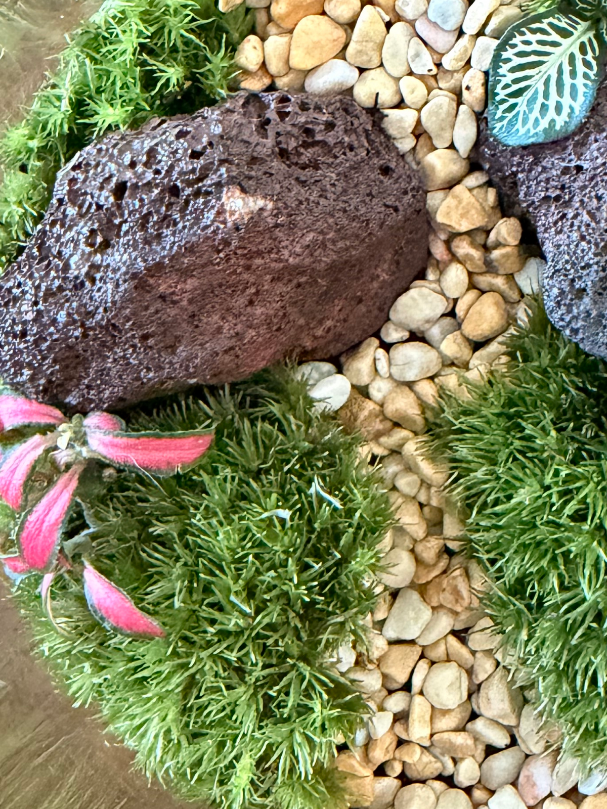 A close-up of a terrarium arrangement with bright green moss, tan pebbles, a dark brown porous rock and a green-and-white patterned leaf accent. Lilli Plants Dubai UAE