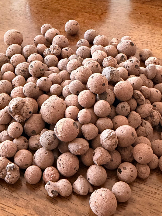 Porous brown hydro clay pebbles and soil layer supporting a bioactive terrarium ecosystem by Lilli Plants Dubai.
