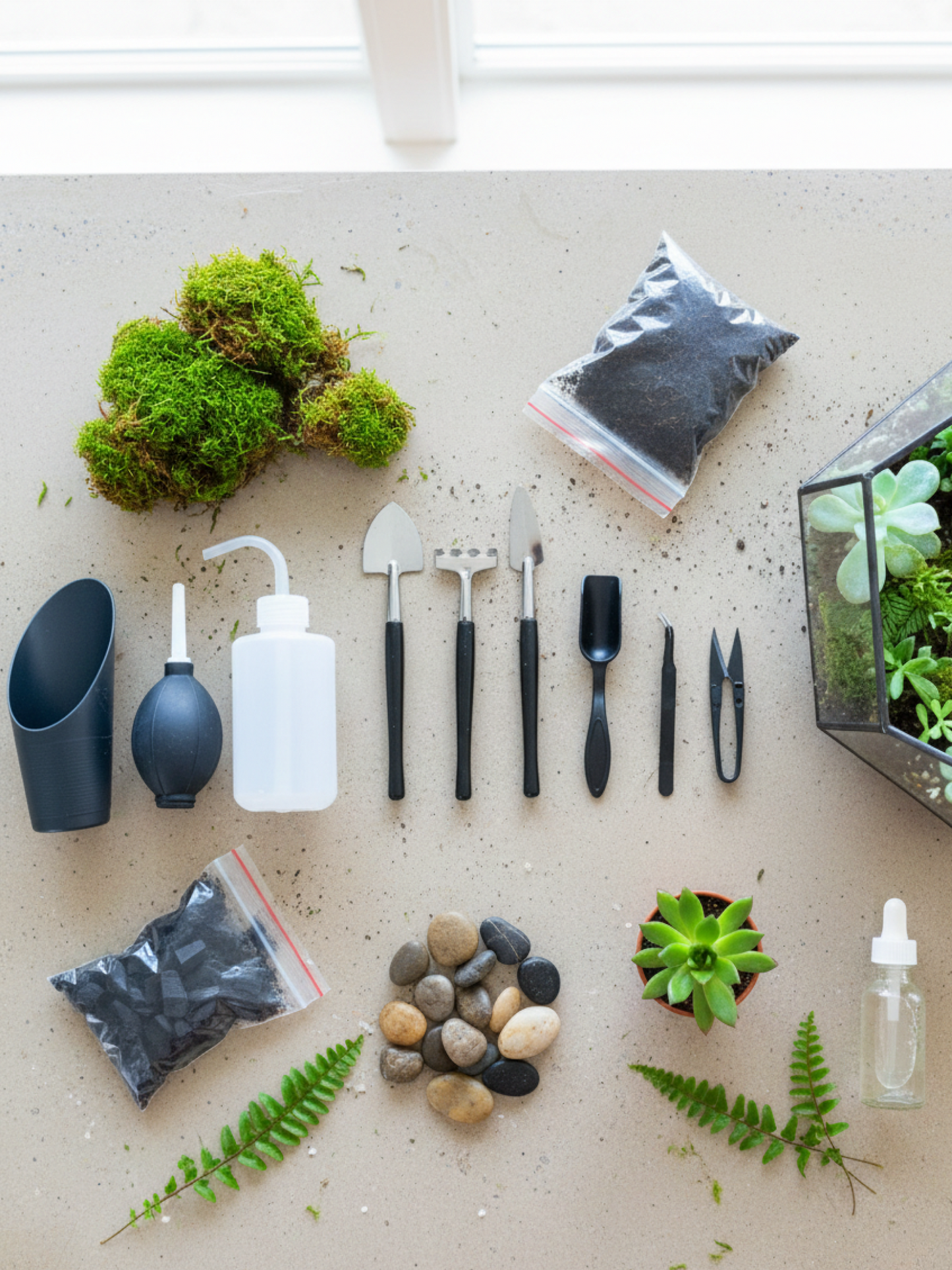 Complete terrarium starter tool set for moss and plant terrariums flat lay
