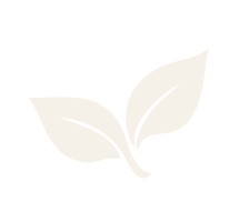 Lilli Plants Dubai terrariums UAE