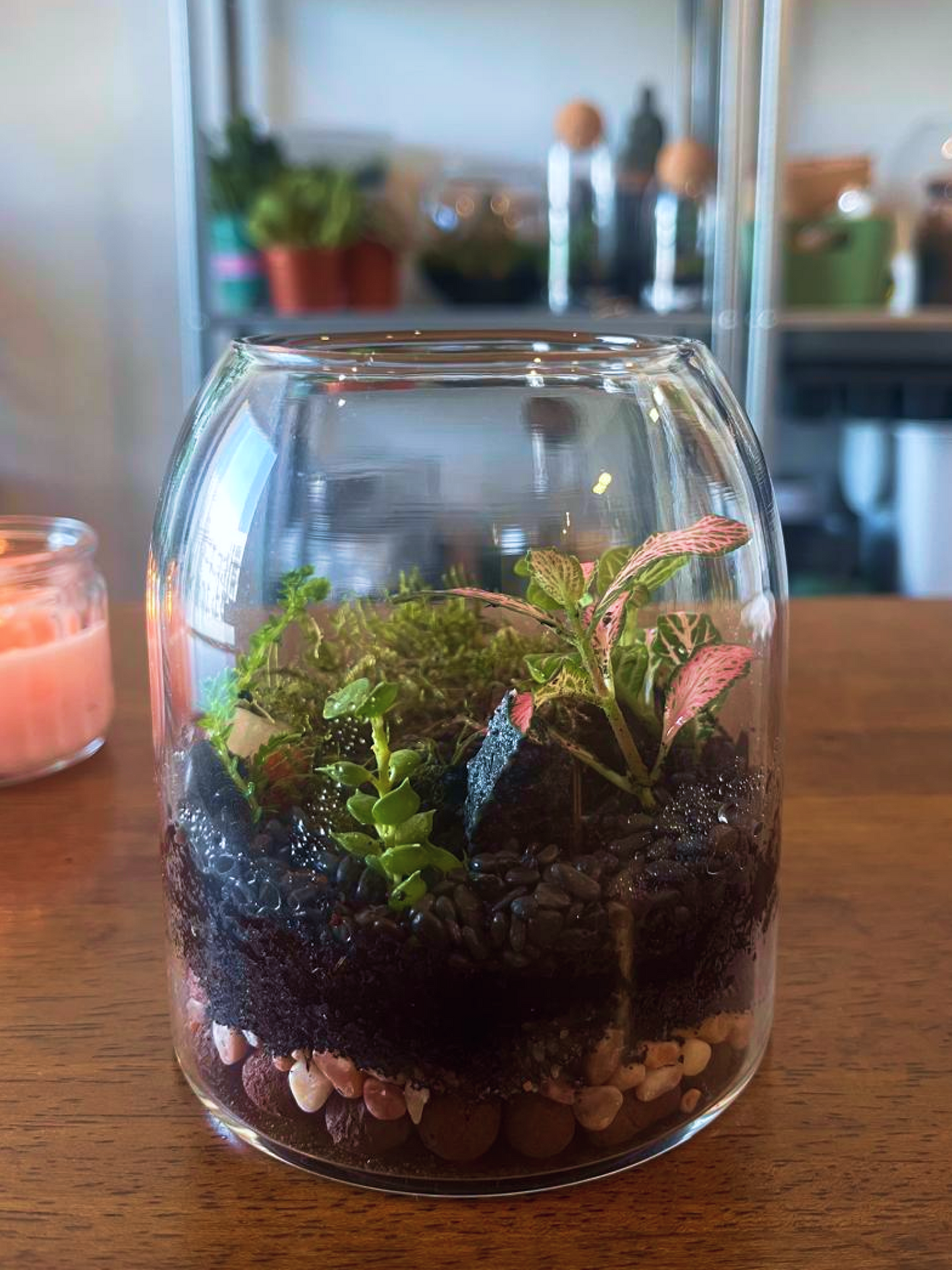Terrarium with plants and pebbles inside a glass container on a wooden surface. buy terrarium dubai uae