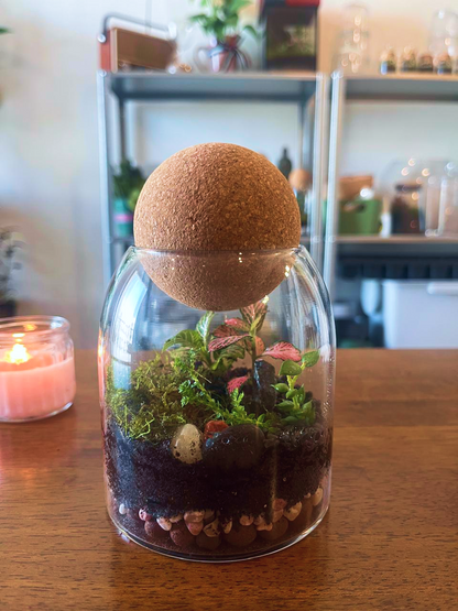 Terrarium with a cork stopper on a wooden surface- lilli plants dubai