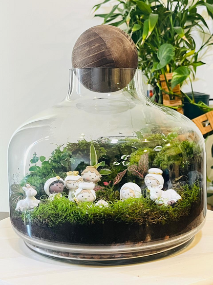 Glass dome Christmas terrarium with string of nickels and selaginella- Lilli Plants Dubai