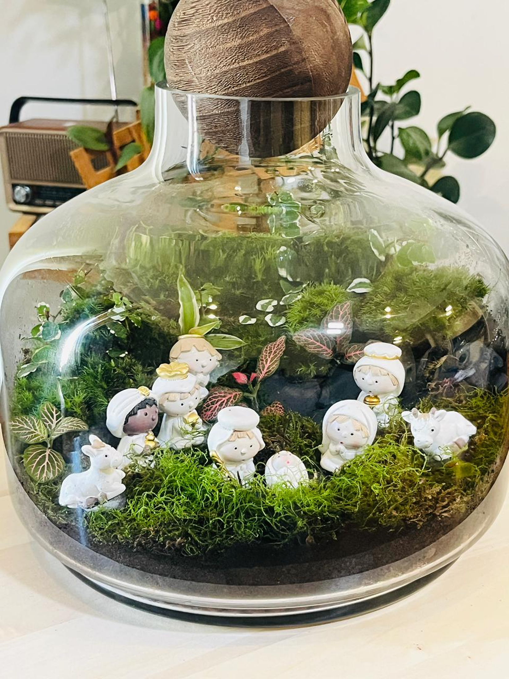 Handmade Bethlehem Nativity terrarium with Fittonia and cushion moss- Christmas terrarium in Dubai