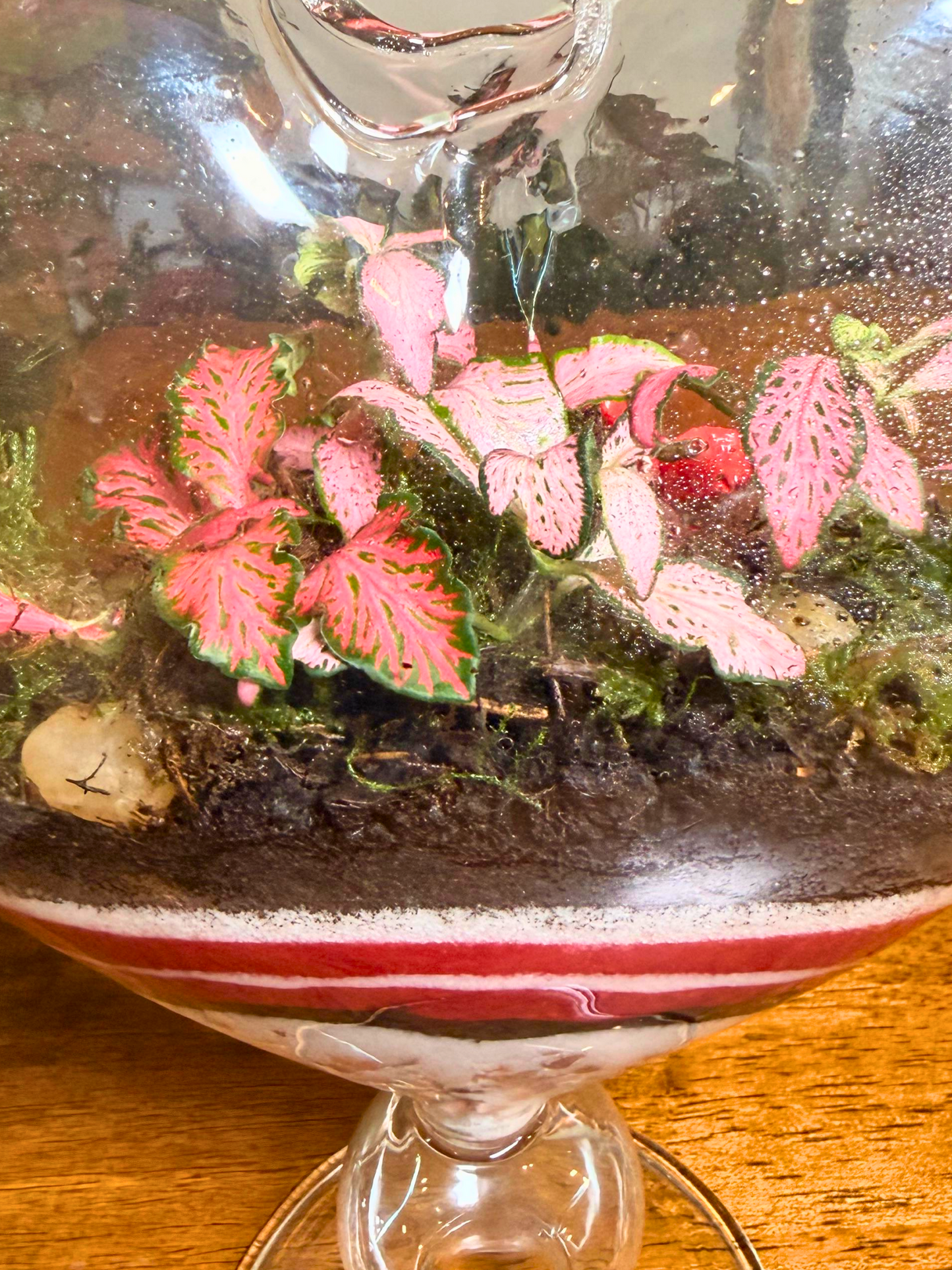 Luxury Love Bloom Heart Terrarium by Lilli Plants – romantic heart-shaped terrarium Dubai