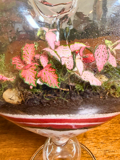 Luxury Love Bloom Heart Terrarium by Lilli Plants – romantic heart-shaped terrarium Dubai