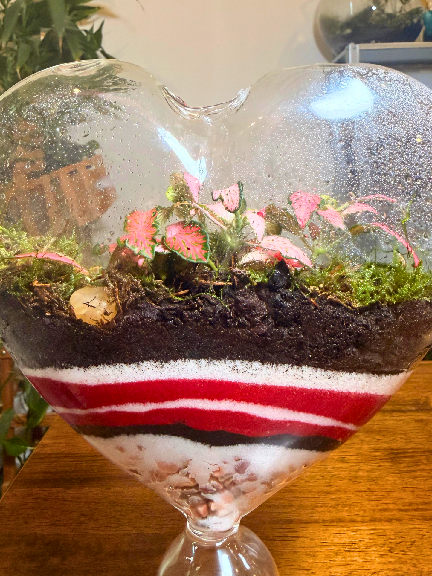 Love Bloom Heart Terrarium – handcrafted terrarium for home décor and luxury gifting Dubai