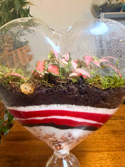 Love Bloom Heart Terrarium – handcrafted terrarium for home décor and luxury gifting Dubai