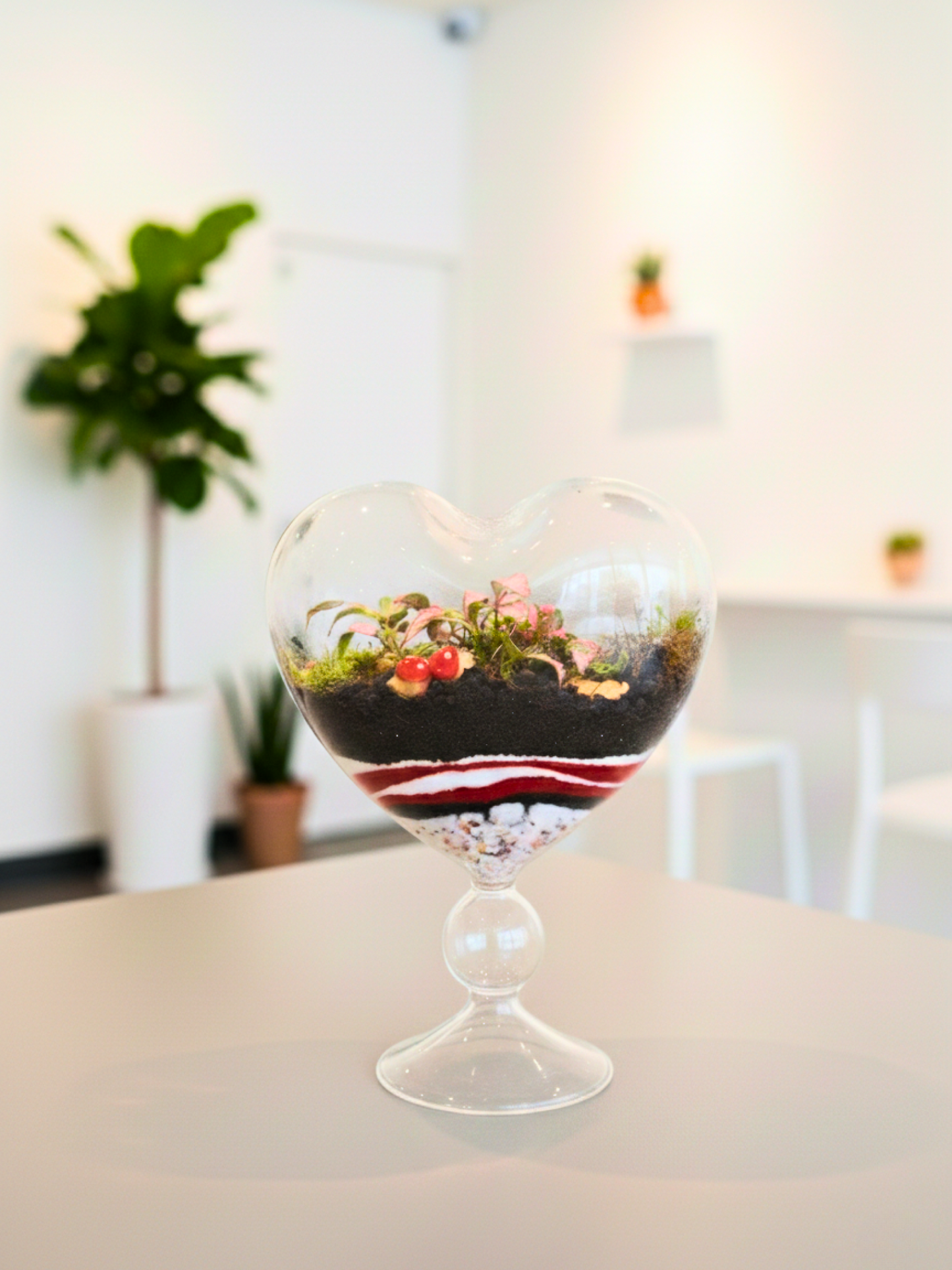 Love Bloom Heart Terrarium by Lilli Plants – heart-shaped Terrarium gift in Dubai UAE