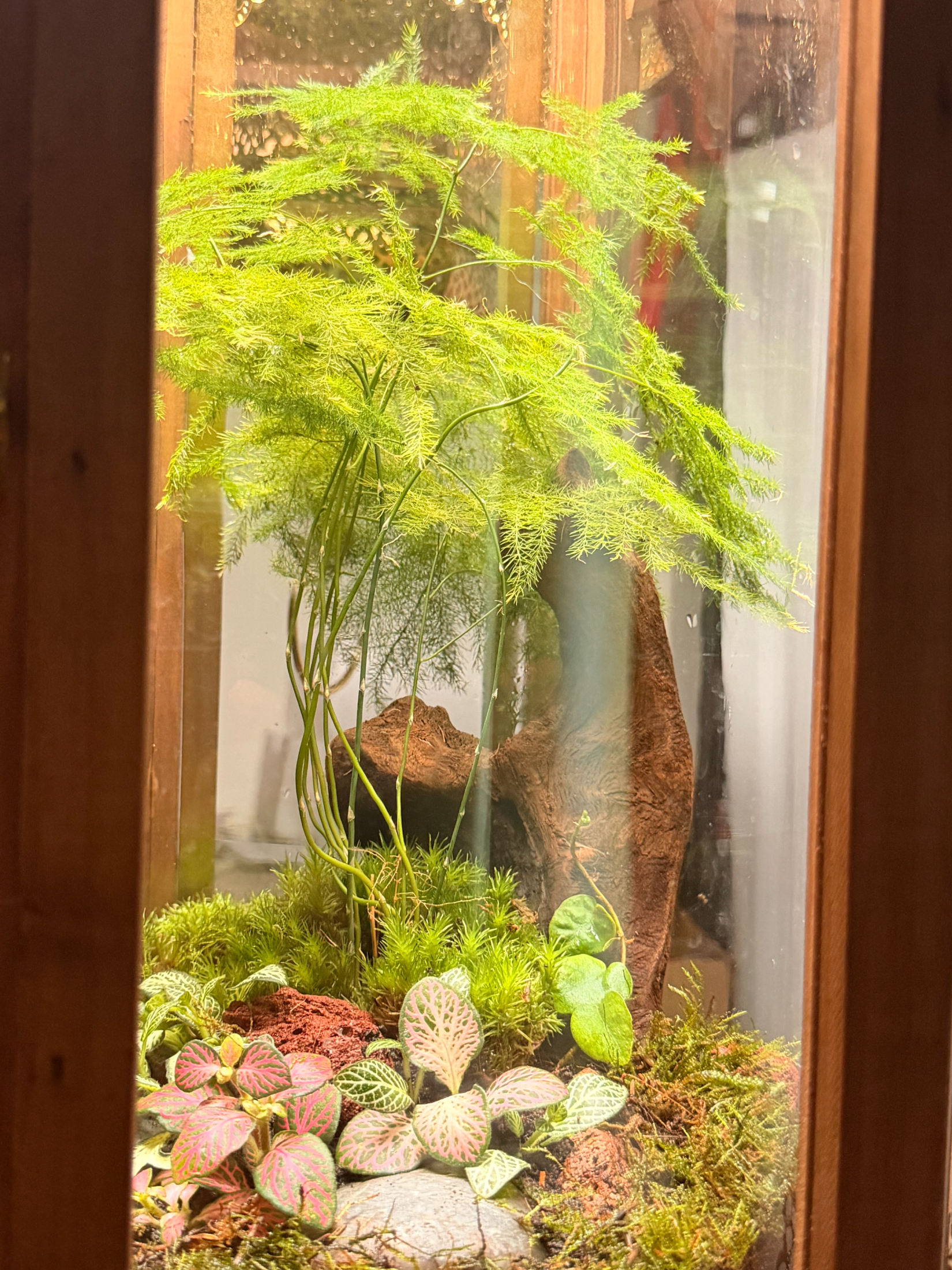 Signature Noor Al Qamar lantern terrarium VIP Eid gift Dubai UAE