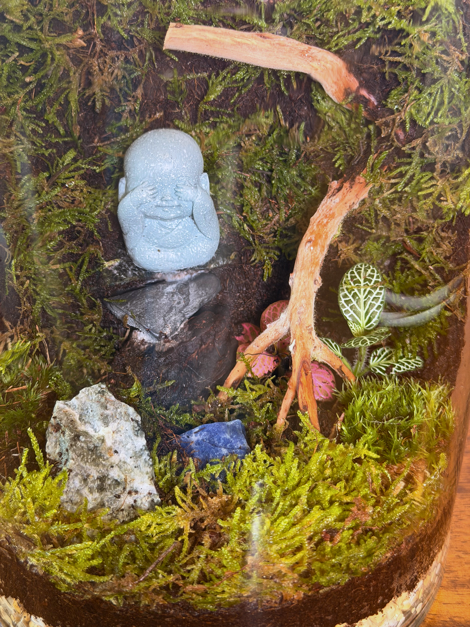 Luxury Buddha terrarium with white black blue stones and moss