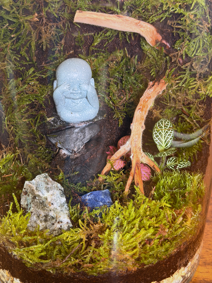 Luxury Buddha terrarium with white black blue stones and moss