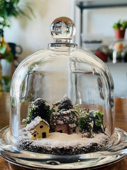 12×12 cm Mini Christmas Haven Terrarium with live Selaginella, moss, and snow-dusted cottage – elegant holiday décor and gift in Dubai.