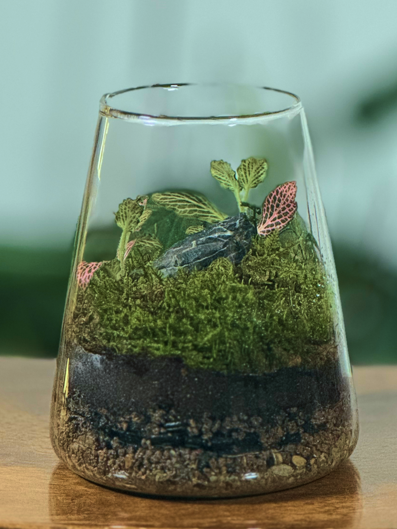 Glass terrarium with plants and a small insect on a wooden surface in Dubai