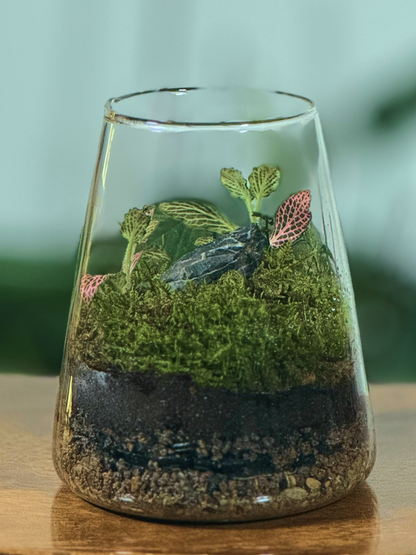 Glass terrarium with plants and a small insect on a wooden surface in Dubai