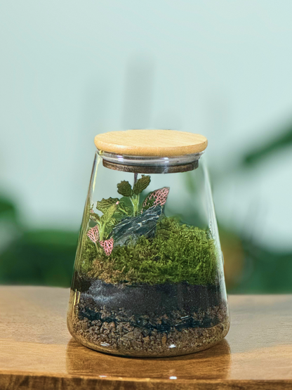 Glass terrarium with wooden lid - UAE