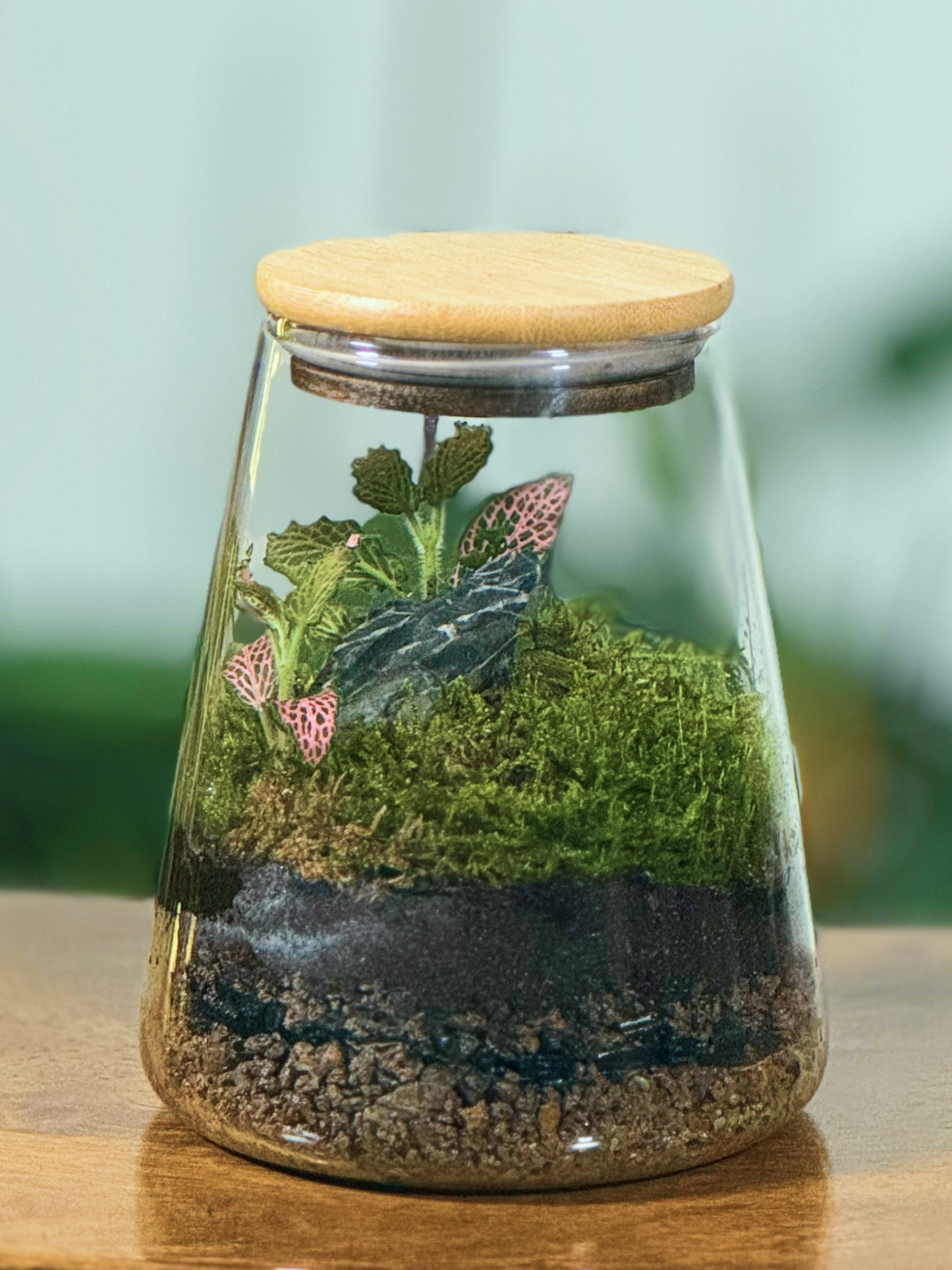 Glass terrarium Dubai