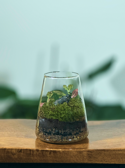 Glass terrarium with plants on a wooden surface-Buy IN Dubai UAE
