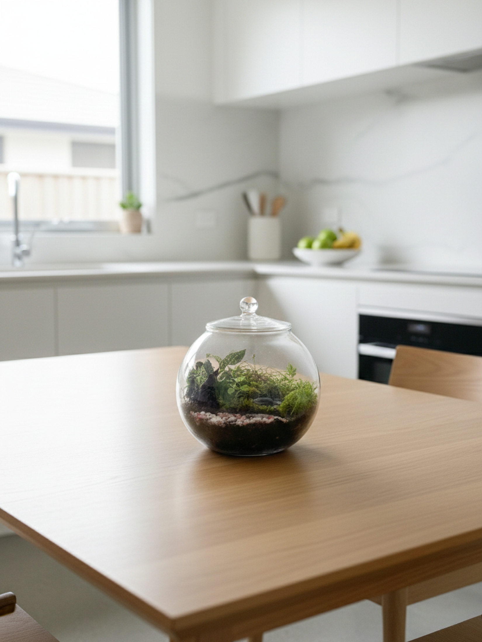 Moss Valley Terrarium handcrafted by Lilli Plants in Dubai