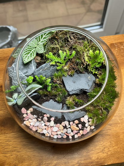 Premium handcrafted indoor terrarium in Dubai by Lilli Plants