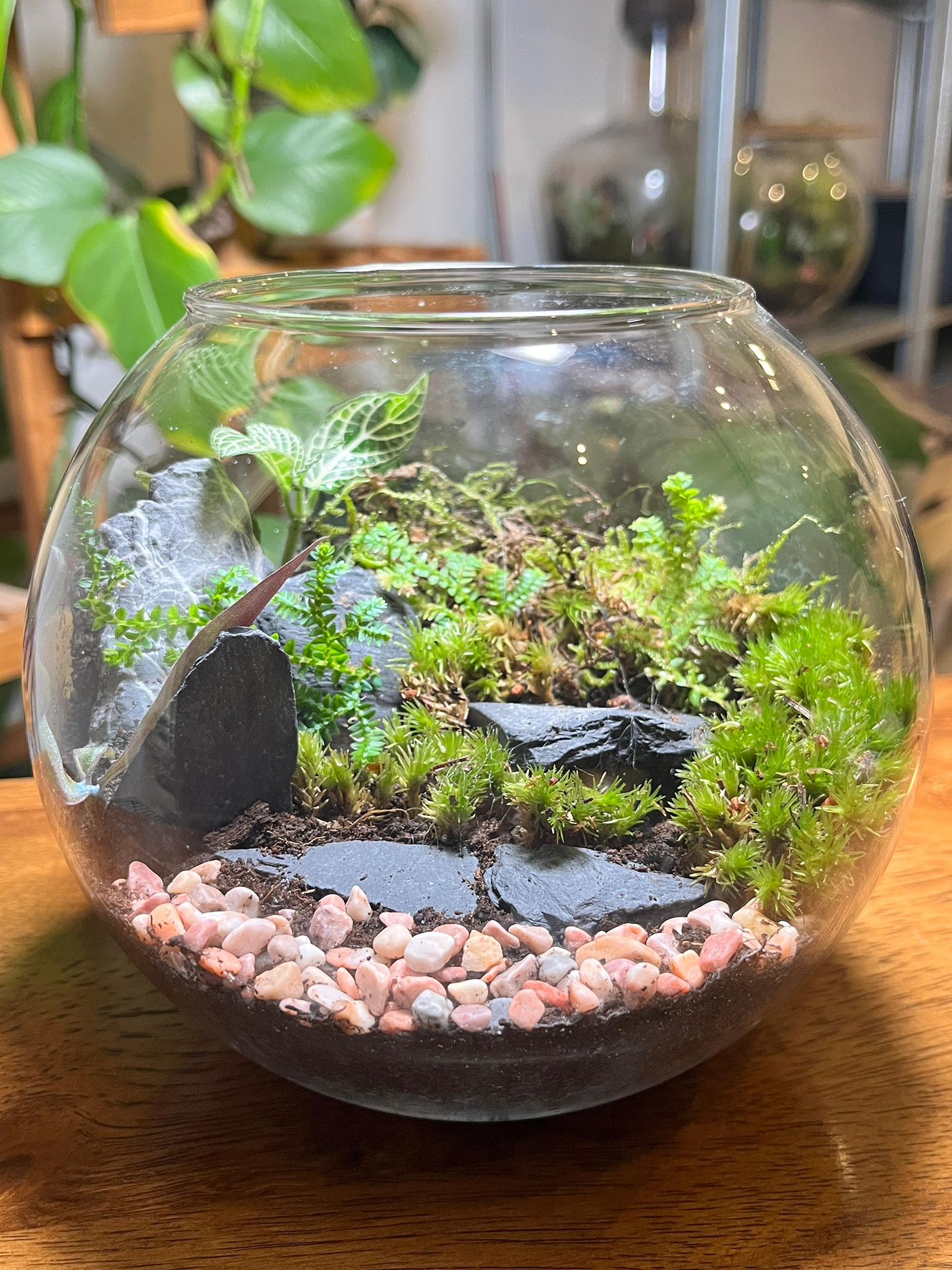 Moss valley style glass terrarium for indoor décor and gifting