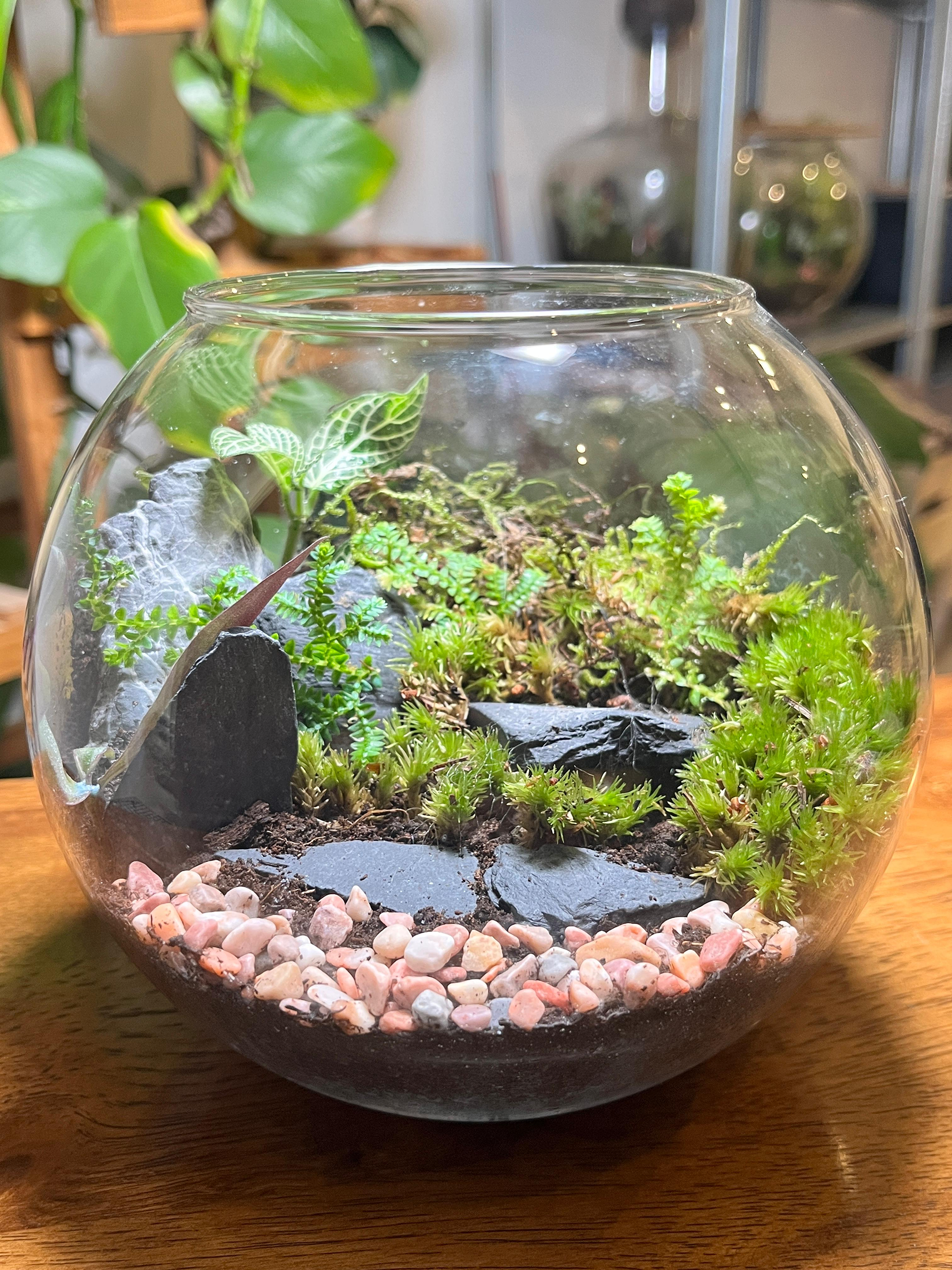Moss valley style glass terrarium for indoor décor and gifting