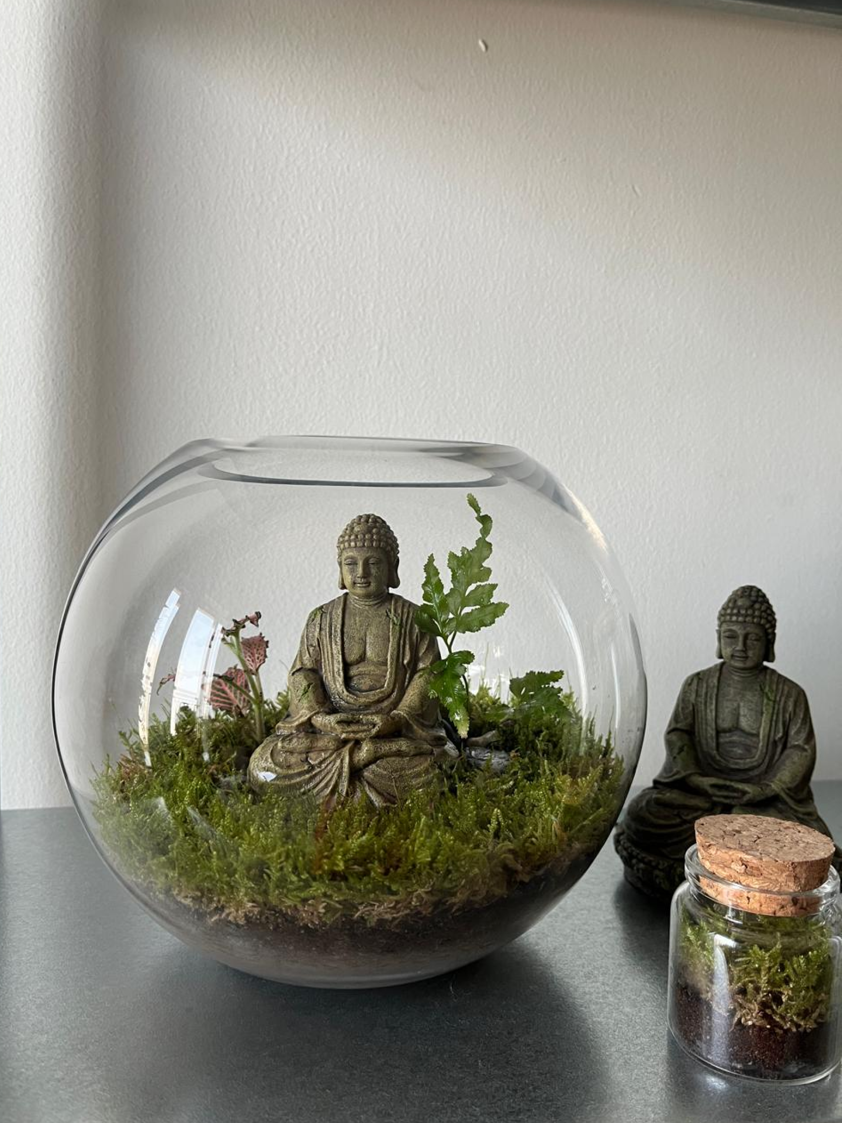 Meditating Buddha Terrarium in 18cm glass bowl with lush green plants.