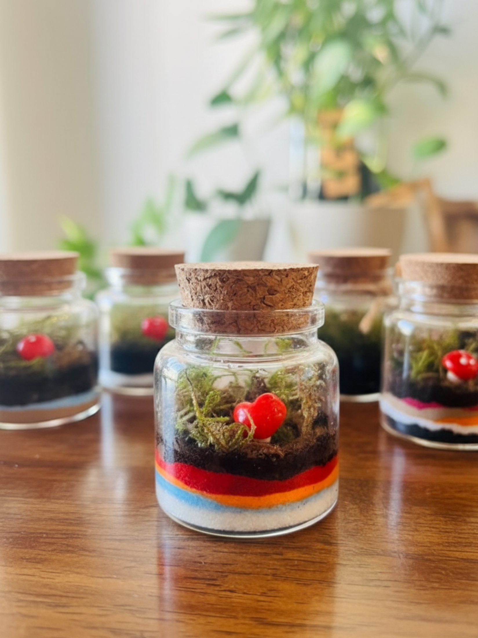 Palm-sized romantic terrarium by Lilli Plants, Dubai’s trusted gift makers.