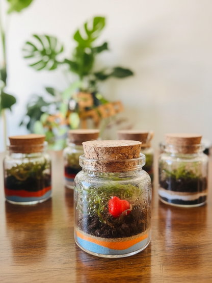 Romantic desktop terrarium by Lilli Plants Dubai – top gift and terrarium makers.