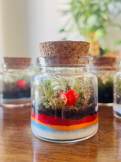 Handcrafted mini terrarium with moss and heart – Lilli Plants, Dubai.