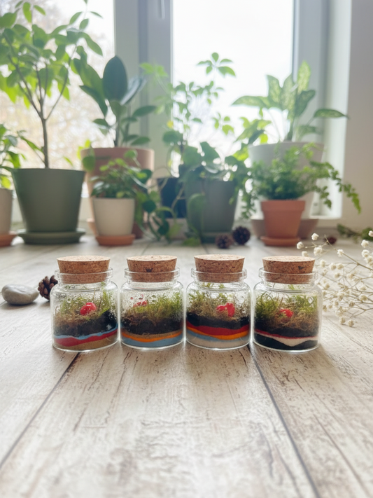 Pocket Heart Haven Terrarium by Lilli Plants Dubai – best micro gift terrarium makers.