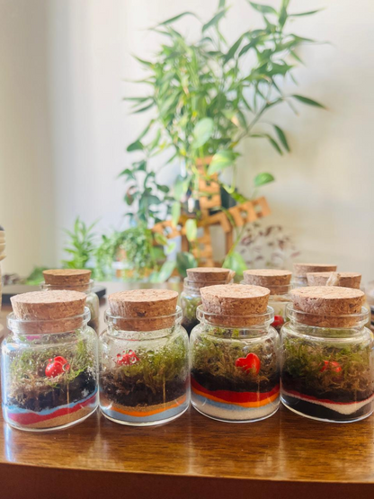 Mini Pocket Heart Haven with live moss and heart accent – Lilli Plants Dubai.
