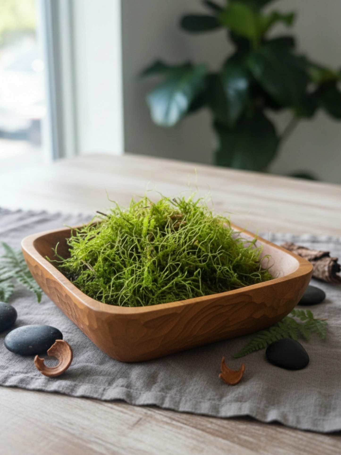 Premium flat moss imported from the Netherlands for terrariums – fresh, hand-prepared by Lilli Plants Dubai.