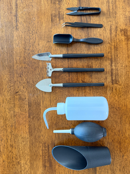 Professional terrarium essential tools arranged on wooden background for beginners