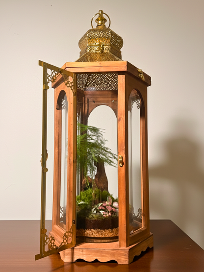 Handcrafted Arabic lantern terrarium premium Eid gift Lilli Plants Dubai