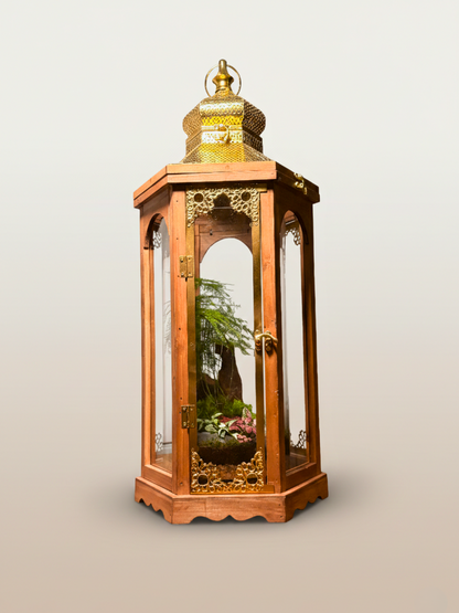 Sustainable Ramadan lantern terrarium peaceful living ecosystem UAE