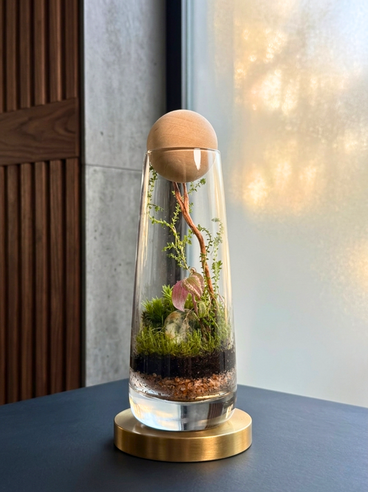 Silent Woodland Signature Luxe Terrarium Dubai by Lilli Plants with moss, spider wood, and natural stones.