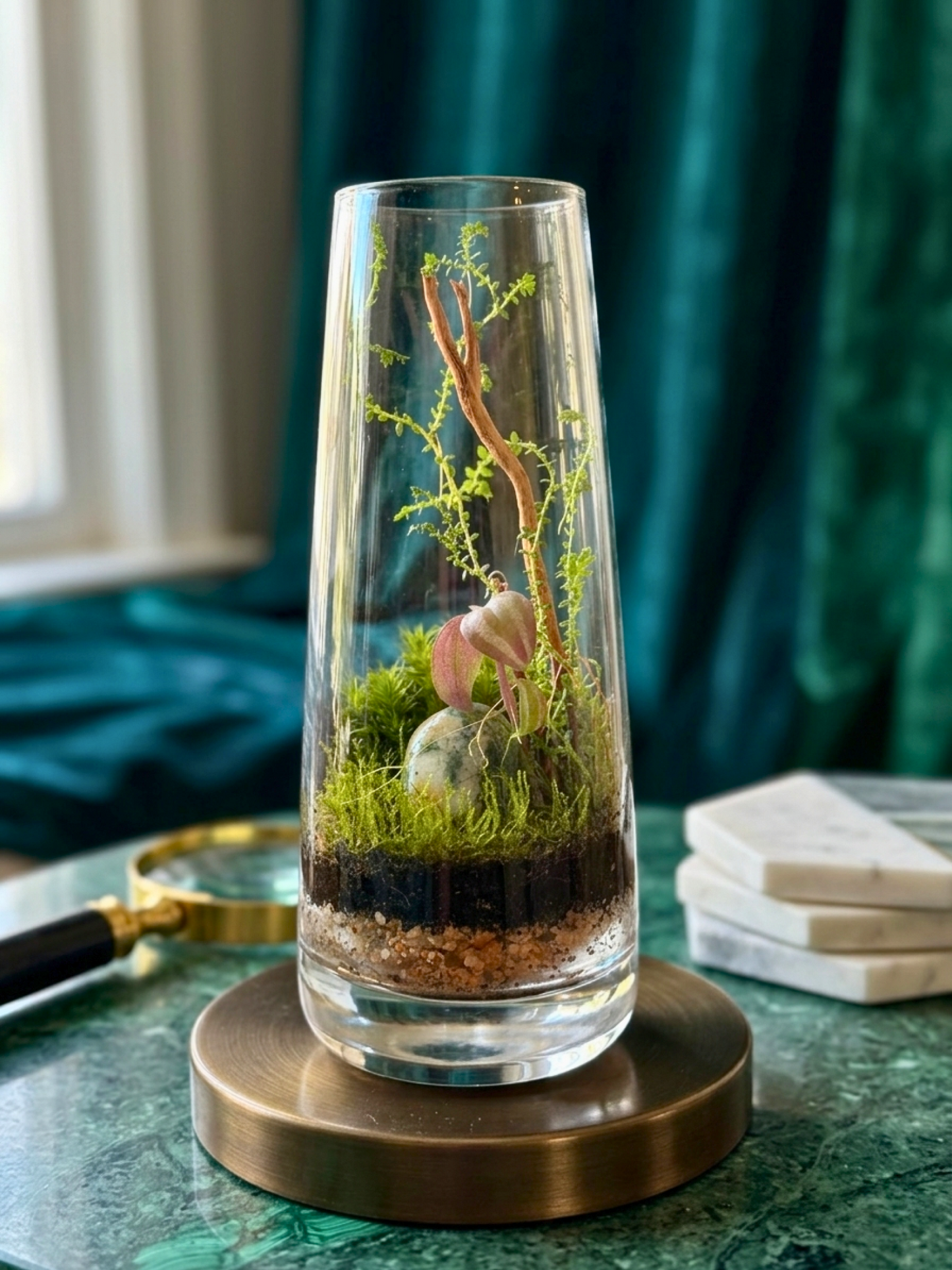 Lilli Plants Dubai luxury terrarium with spider wood, flat moss, and decorative natural stones.