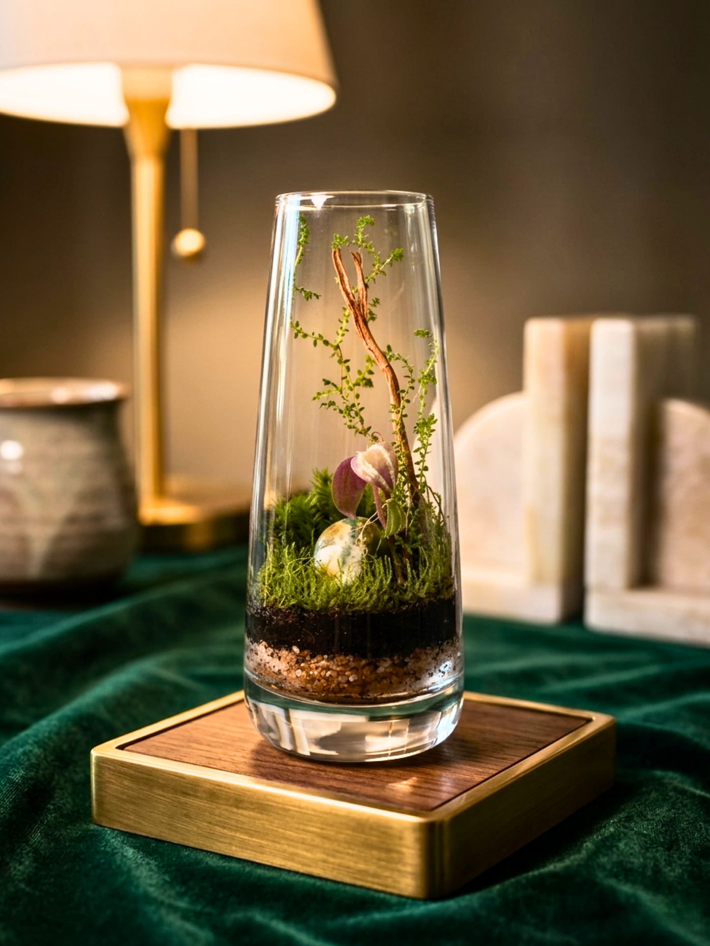 handcrafted terrarium in Dubai by Lilli Plants featuring Selaginella, Tradescantia, and cushion moss.