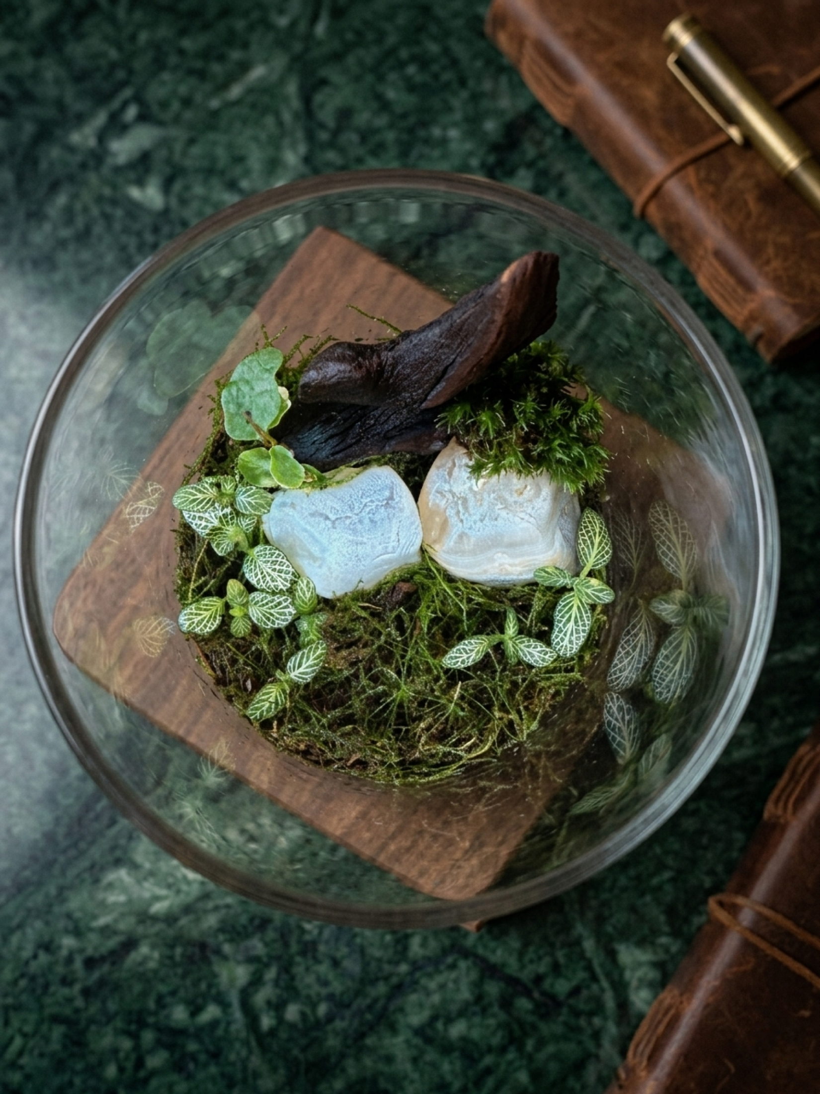 modern mini terrarium design with pebbles moss and indoor plants- dubai