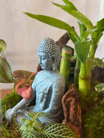 Spiritual zen garden terrarium with natural moss and indoor plants