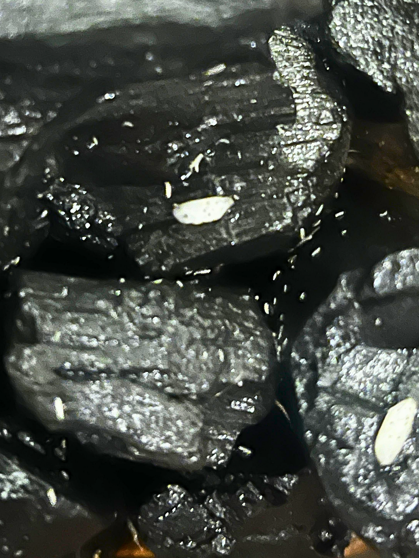 Close-up view of springtails culture used for mold control in terrariums- Dubai