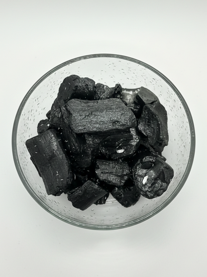 Live springtails culture in glass bowl for terrariums by Lilli Plants Dubai- UAE