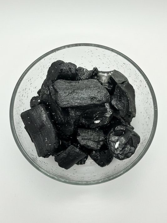 Live springtails culture in glass bowl for terrariums by Lilli Plants Dubai- UAE