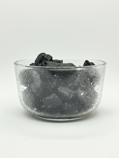 Springtails culture on charcoal substrate for bioactive terrariums – Lilli Plants Dubai-UAE