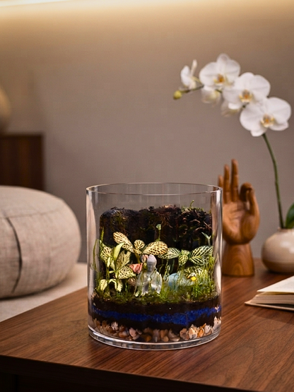 Close up of mindfulness terrarium with emerald prosperity stones, moss and tropical Fittonia plants